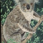 Koal Bear By Teresa Peterson