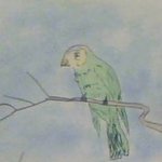 Parrot On Tree, Themis Koutras
