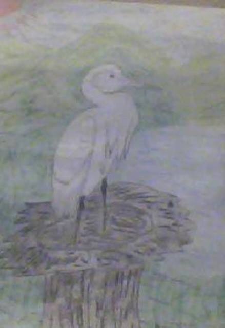 Themis Koutras  'Bird Nesting', created in 2019, Original Watercolor.