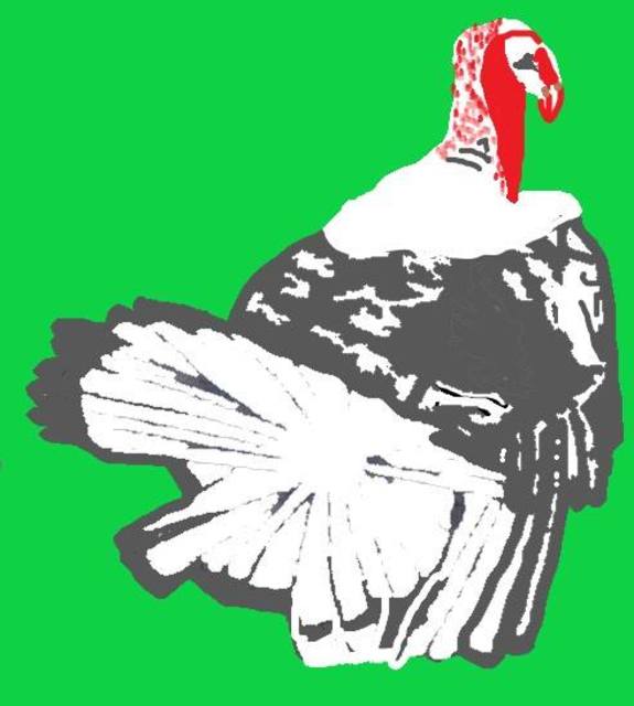 Themis Koutras  'Turkey', created in 2019, Original Computer Art.
