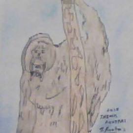 Ape In Wilderness, Themis Koutras