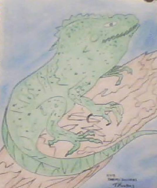 Artist Themis Koutras. 'Lizard On A Log' Artwork Image, Created in 2019, Original Book. #art #artist