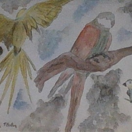 Parrot 1, Themis Koutras