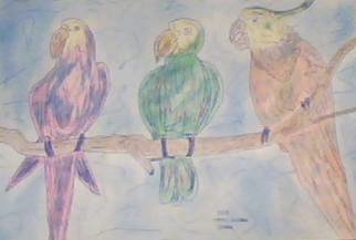 Themis Koutras: 'parrots', 2019 Pencil Drawing, Birds. i sell prints by e mail at 50 each welcome to my art studioThese are art done in computer art sold in prints over the net by e mail at a cheep price all for you. ...
