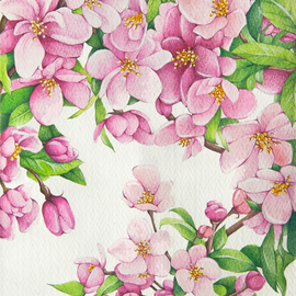 Cherry Blossom, Tatiana Azarchik
