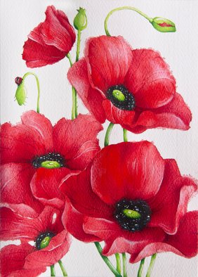 Tatiana Azarchik: 'poppies', 2015 Watercolor, Botanical. Poppies are well- loved by me for their striking flowers.  There s no anything more beautiful than looking at red poppy fields.  This watercolor painting was inspired by Claude Monet s famous 1873 painting Poppy Field and the place where he lived and created - picturesque Giverny, which I visited last ...