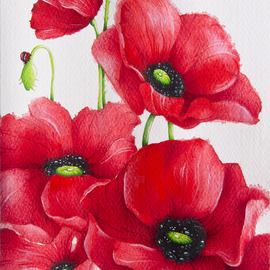 poppies By Tatiana Azarchik