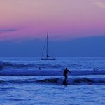 Surfing in Twilight By Tiger Lily Jones