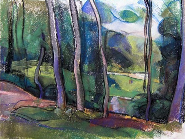 Timothy King  'Wing Park Bluff', created in 2007, Original Pastel Oil.
