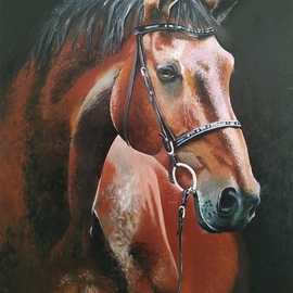 Krisztina T.molnár: 'horse', 2019 Acrylic Painting, Animals. Artist Description: It symbolizes strength and fast movement.  It provides enthusiasm and optimism, gives it the strength to take risks.  It was a valued companion of man in wandering and a helper in war. ...