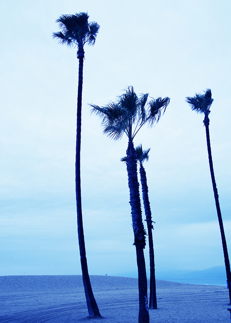 Robert Van Bolderick  'Venice Beach Blue Palmtrees Ll', created in 2018, Original Painting Acrylic.