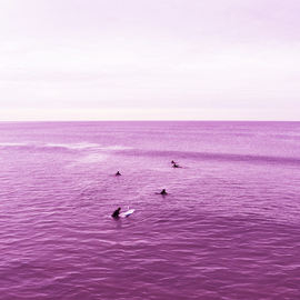 Robert Van Bolderick: 'Venice Beach Purple Sea ll', 2018 Color Photograph, Beach. Artist Description: Venice Beach surfersLimited edition...