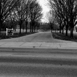Kimberly Ruttenberg: 'a black and white day', 2019 Black and White Photograph, Atmosphere. Artist Description: A tree lined path...