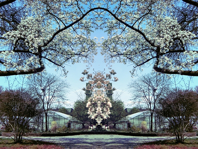 Ulrich  Osterloh  'Garden', created in 2016, Original Photography Other.