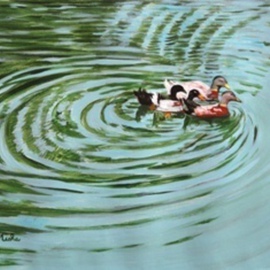 Duck Journey By Usha Shantharam