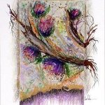 tree twigs in bloom By Valda Fitzpatrick