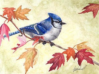 Colette Theriault: 'Autumn Jay', 2003 Watercolor, Birds. Almost everyone can identify this beautiful blue bird of the northern forests. The scientific name Cyanocitta cristata refers to the crested blue feathers on the head. Jays belong to the crow family and are amongst the largest of the passerines or perching birds.This is an original painting, not a ...