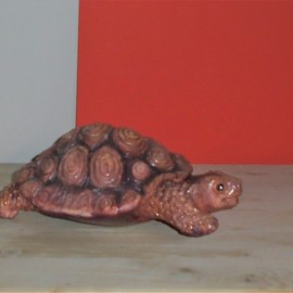 Tortoise, Varvara Vitkovska