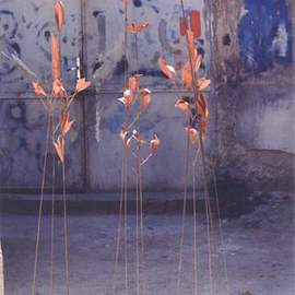 Venelin Ivanov: 'flora', 2000 Mixed Media Sculpture, Floral. Artist Description: bronze, copper, stone...
