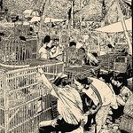 Pasar Burung 3 By Vincenzo Montella
