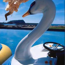 Swan By Vincenzo Montella