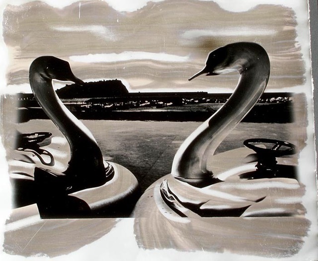 Vincenzo Montella  'Swans', created in 2007, Original Sculpture Aluminum.