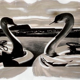 swans By Vincenzo Montella