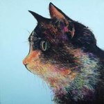 Cat 1 By John Tooma