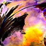 Phoenix Rising By Giuseppe Saitta