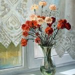 carnations By Vladimir Volosov