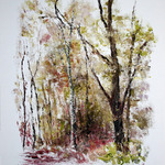 forest etude By Vladimir Volosov