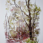 forest sketch By Vladimir Volosov
