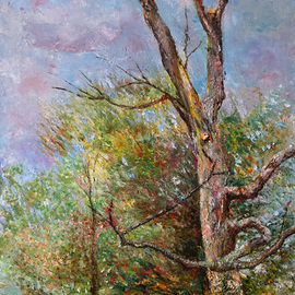 landscape with old tree  By Vladimir Volosov