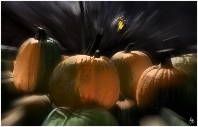 Artist Wayne King. 'A Rush Of Painted Pumpkins' Artwork Image, Created in 2015, Original Photography Digital. #art #artist