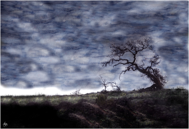 Artist Wayne King. 'California' Artwork Image, Created in 2008, Original Photography Digital. #art #artist