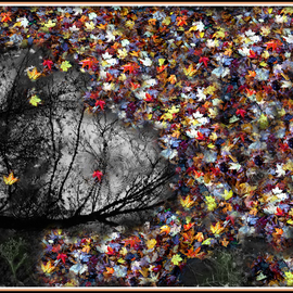 Wayne King: 'Pollacks Pool', 2014 Color Photograph, Expressionism. Artist Description:  Montage of images depicting a pool and silhouette with maple leaves around the edges. / pollack, jackson, pool, foliage, leaves, leaf, fall, autumn, water, Decorative Art, Fine Art, color. ...