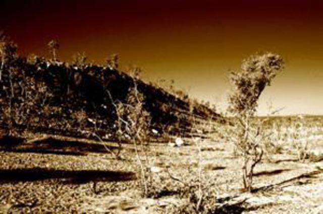 Artist Wayne Quilliam. 'Desert' Artwork Image, Created in 2004, Original Photography Infrared. #art #artist