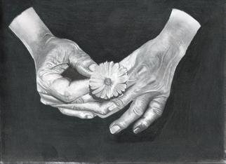Walter Richter: 'Old Hands', 2013 Pencil Drawing, Other.   Pencil Drawing - 8