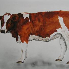 young cow By Pim Van Der Wel