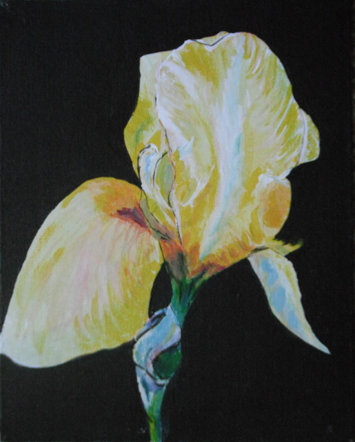 Artist Wendy Goerl. 'Isolated Iris' Artwork Image, Created in 2011, Original Watercolor. #art #artist