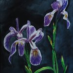 Purple Flags By Wendy Goerl