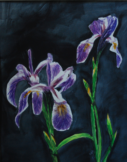 Artist Wendy Goerl. 'Purple Flags' Artwork Image, Created in 2012, Original Watercolor. #art #artist