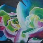 Rainbow Roses By Wendy Goerl