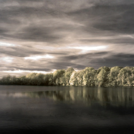 Lake By Dana Whitford