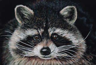 Karen Turner: 'Thirsty Work', 2014 Pastel, Wildlife.  Raccoon  ...