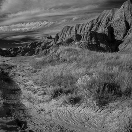 George Wilson: 'Deer Haven I', 2016 Black and White Photograph, Landscape. Artist Description:    Infrared Black and White Landscape at Conata Picnic Area Trailhead, SD - printed on a 116 aluminum sheet and mounted with a metal easel or float mount so they are ready to display as soon as they arrive    ...