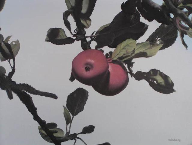 Peter Winberg  'Apples In The Sun', created in 2003, Original Painting Other.