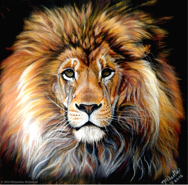 Artist Michaeline Mcdonald. 'Bold Lion' Artwork Image, Created in 2016, Original Pastel. #art #artist