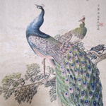 Peacock Chinese Painting, Qinghe Yang