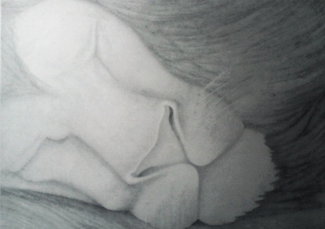 Yohana Moshi  'The Sleeping Lion', created in 2014, Original Drawing Pencil.